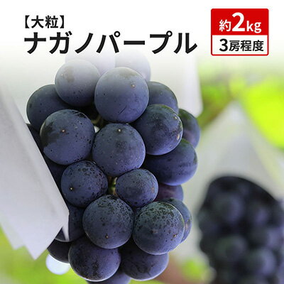 【ふるさと納税】ナガノパープル 約2kg 3～4房 長野 坂城町産 ぶどう K＆Y農園 ブドウ フルーツ 果物　【 果物類 】　お届け：2024年9月上旬～9月下旬のサムネイル