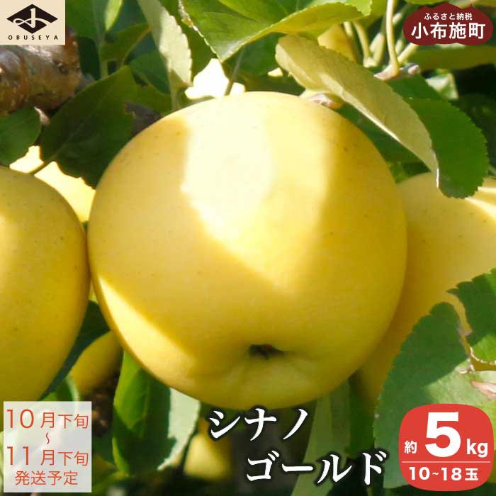 【ふるさと納税】シナノゴールド 約5kg 10～18玉 ［小布施屋］ りんご 林檎 リンゴ 果物 フルーツ 長...