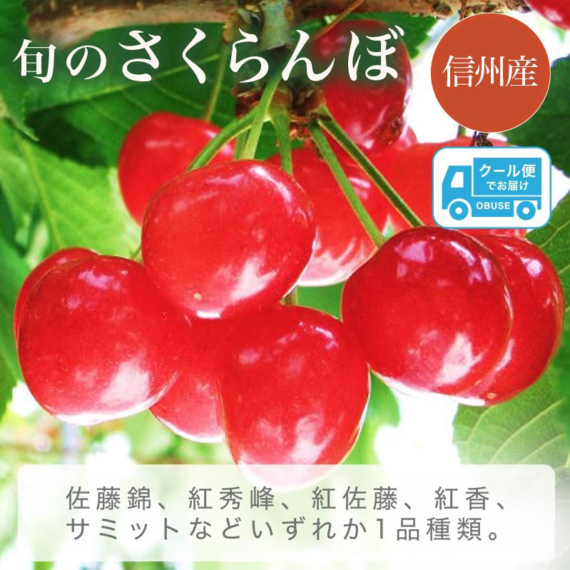 【ふるさと納税】旬のさくらんぼ 佐藤錦、紅秀峰、紅佐藤、紅香、サミット 約1kg［小布施屋］サクランボ くだもの 果物 フルーツ チェリー バラ詰め 長野県産 信州産 数量限定 令和8年産【2026年6月中旬～7月中旬発送】