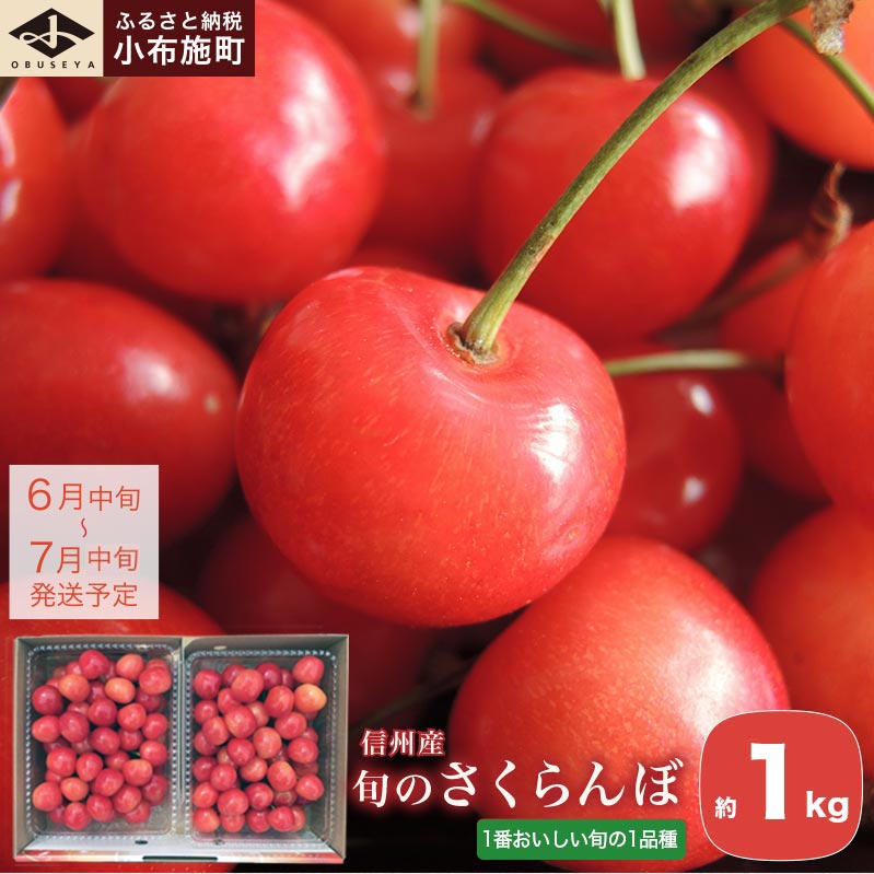 旬のさくらんぼ 佐藤錦、紅秀峰、紅佐藤、紅香、サミット 約1kg[小布施屋]サクランボ くだもの 果物 フルーツ チェリー バラ詰め 長野県産 信州産 数量限定 令和8年産[2026年6月中旬〜7月中旬発送]