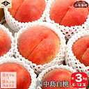 【ふるさと納税】 ＜先行予約＞ もも 川中島白桃 約3kg 6～12玉 ［小布施屋］ 桃 白桃 モモ フルーツ 果物 長野県産 信州産 クール便 冷蔵便 令和6年産【2024年8月下旬～9月上旬発送】