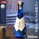 【ふるさと納税】大吟醸純米生酒「碧〓軒（へきいけん）」