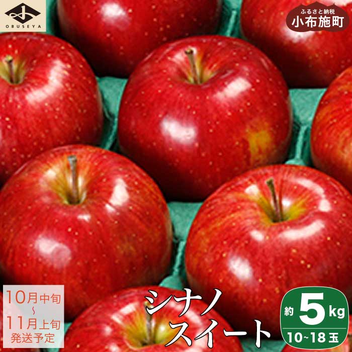 シナノスイート 約5kg 10〜18玉 [小布施屋] りんご 林檎 リンゴ 果物 フルーツ 長野県産 信州産 特産 産地直送 産直 数量限定 先行予約 令和6年産 [2024年10月中旬〜11月上旬発送]