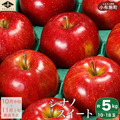 シナノスイート 約5kg 10～18玉 ［小布施屋］ りんご 林檎 リンゴ 果物 フルーツ 長野県産 信州産 特産 産地直送 産直 数量限定 先行予約 令和6年産 【2024年10月中旬～11月上旬発送】