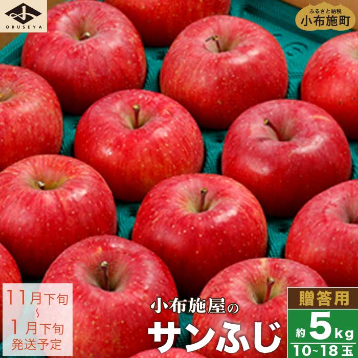 【ふるさと納税】 サンふじ 贈答用 約5kg 10～18玉 ［小布施屋］ りんご 林檎 リンゴ 果物 フルーツ ...