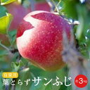 【ふるさと納税】新規就農者応援コース 葉とらずサンふじ自家用...