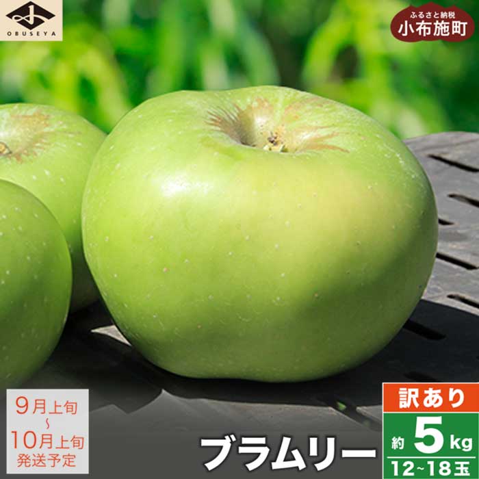   クッキングアップル ブラムリー 約5kg 12～18玉 ［小布施屋］フルーツ 果物 林檎 リンゴ 長野県産 信州産 加工 傷 キズ 不揃い 規格外 家庭用 令和6年産