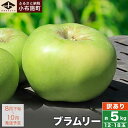 13位! 口コミ数「9件」評価「3.56」 【訳あり】 クッキングアップル ブラムリー 約5kg 12～18玉 ［小布施屋］フルーツ 果物 林檎 リンゴ 長野県産 信州産 加工 傷 ･･･ 