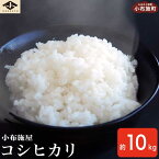 【ふるさと納税】 長野県小布施産「こしひかり」 精米 約10kg ［小布施屋］お米 米 おこめ コシヒカリ 10キロ 長野県産 白米