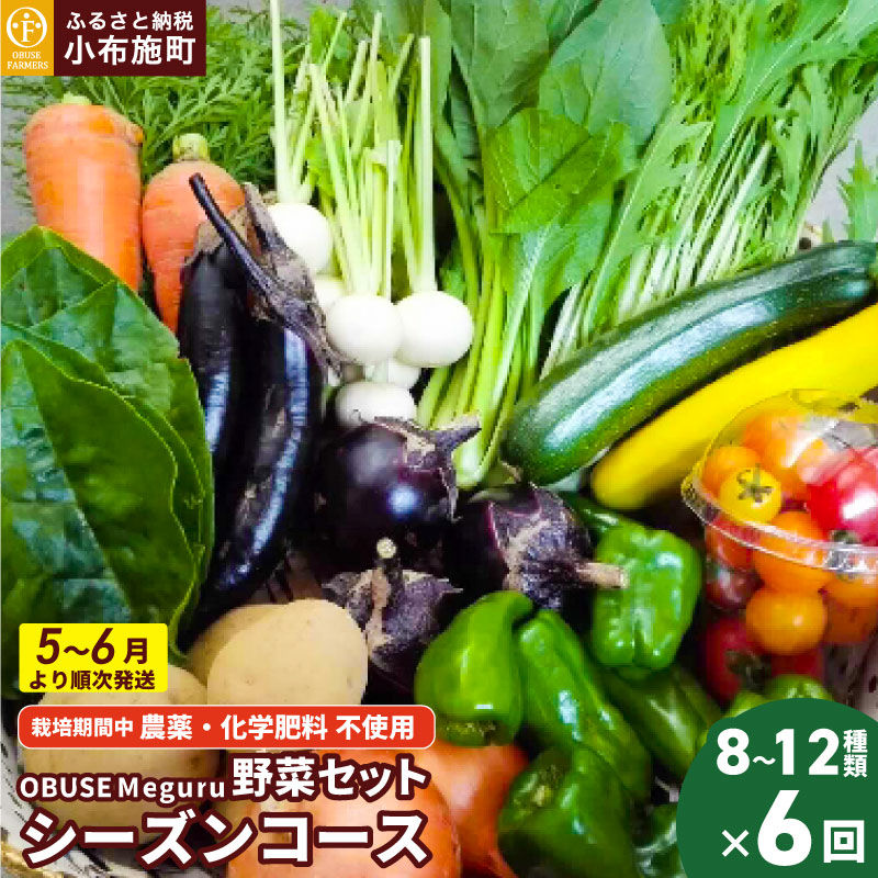 ڤդ뤵Ǽǡۡǯ6ء Ȥ鷺˺ݤڵ͹礻 OBUSE Meguru ڥå 󥳡Τ...