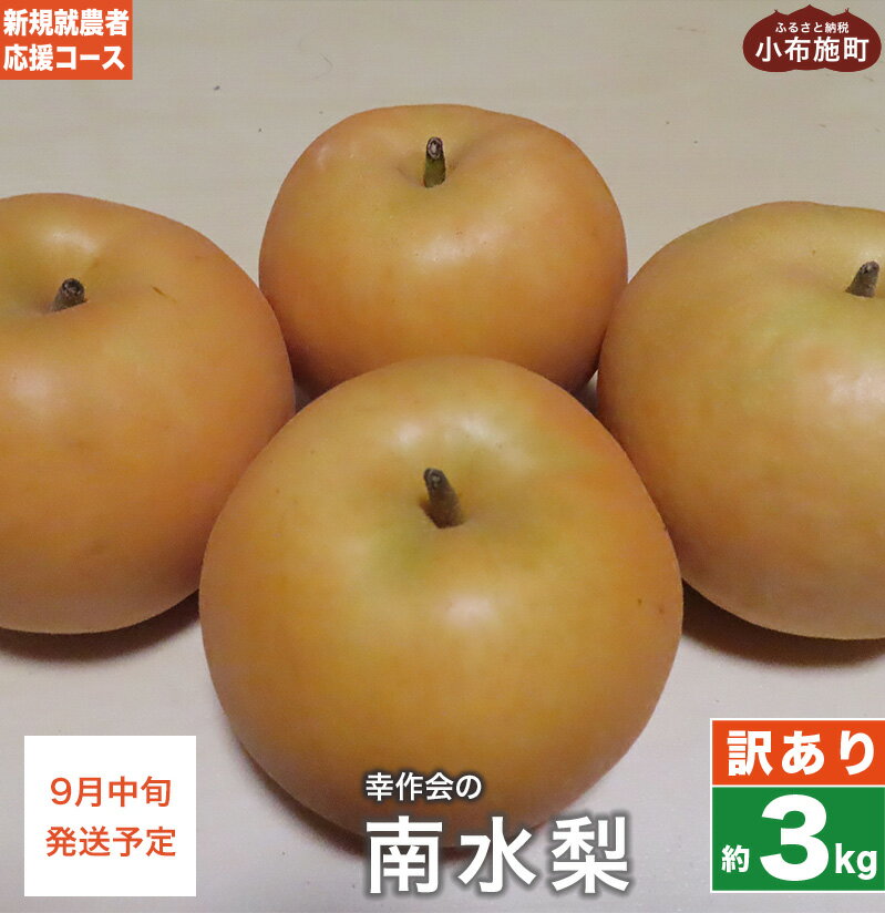 【ふるさと納税】【訳あり】梨 南水 約3kg ［新規就農者応援コース 幸作会］ 梨 なし フルーツ 果物 ワケアリ 傷 キズ 不揃い 長野県産 信州産 数量限定 令和7年産 【2025年9月中旬発送】のサムネイル