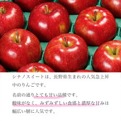 【ふるさと納税】 長野県りんごの味比べ 約5kg 12～18玉 シナノスイート シナノゴールド ［小布施屋］ りんご 林檎 リンゴ 果物 フルーツ 長野県産 信州産 特産 産地直送 産直 数量限定 先行予約 ギフト 令和6年産 【2024年 10月下旬～11月上旬発送】･･･ 画像1