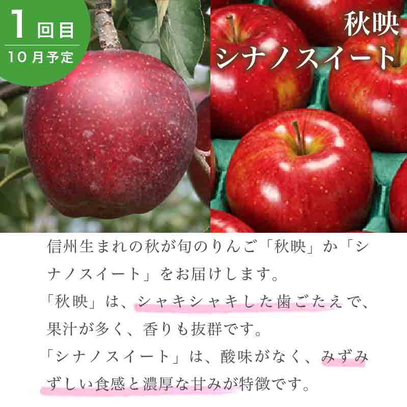 【ふるさと納税】小布施町りんごの定期便3回コース ［小布施屋］ 2023年10月～12月発送 りんご 林檎 定期便 フルーツ 果物 信州産 長野県産 3回 5kg 2.8kg お楽しみ 数量限定 先行予約 秋映 シナノスイート シナノゴールド サンふじ 特産 産地直送 毎月 食べ比べ 味比べ