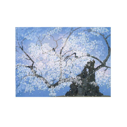 中島千波 山高神代桜