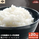 【ふるさと納税】 2カ月定期便 長野県小布施町産のお米 合計