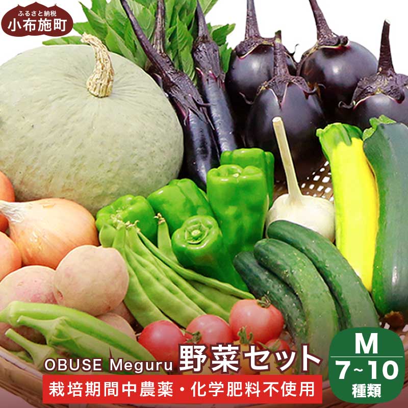 【ふるさと納税】［栽培期間中農薬・化学肥料不使用］ OBUSE Meguru 野菜セット M 7～10種類 ［新規就農者応援コース 幸作会］野菜 詰め合わせ 農薬不使用 化学肥料不使用 おまかせ やさい 詰合せ お楽しみ 菌ちゃん 長野県産 信州･･･