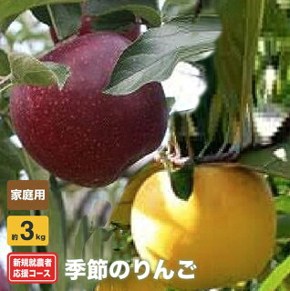 りんごの品種と色について りんごの品種と色について