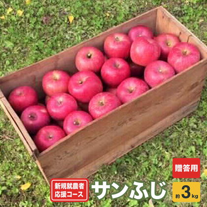 新規就農者応援コース サンふじ(贈答用)約3kg
