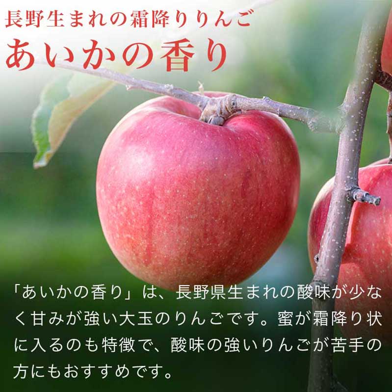 【ふるさと納税】 先行受付 あいかの香り 約5kg 11～18玉 ［おぶせファーマーズ］ りんご 林檎 リンゴ 果物 フルーツ 長野県産 信州産 先行予約 数量限定 令和8年産 【2026年11月上旬～12月上旬発送】