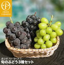 【ふるさと納税】おぶせファーマーズの「旬のぶどう3種セット」...