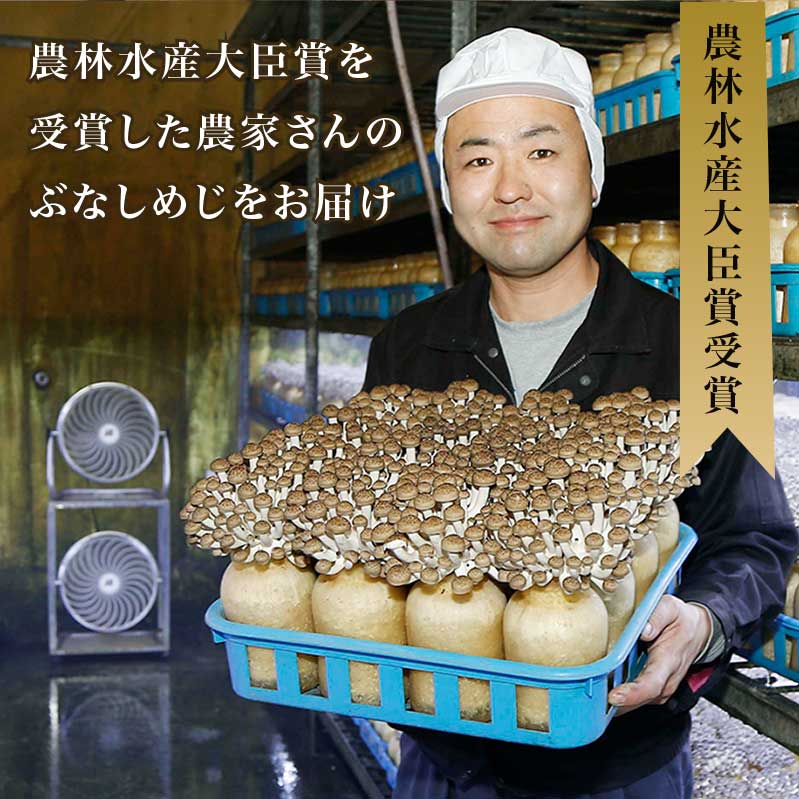 【ふるさと納税】 ぶなしめじ 選べる内容量 300g × 4袋 300g × 6袋 ［おぶせファーマーズ］ きのこ キノコ 野菜 鍋 炒め物 長野 信州