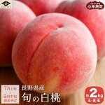 【ふるさと納税】旬の白桃約1.8kg4～8玉