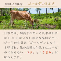 【ふるさと納税】小布施牧場の搾りたてジャージー牛乳の濃厚アイスクリーム