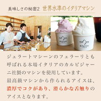 【ふるさと納税】小布施牧場の搾りたてジャージー牛乳の濃厚アイスクリーム