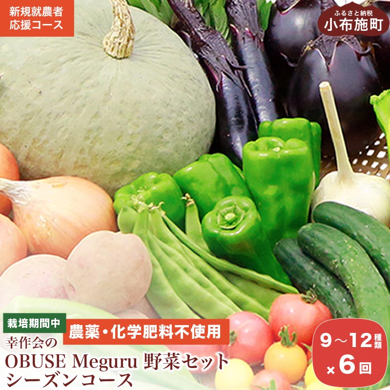 当園の農産物から採取した微生物（※Meguru発酵液）を用いて、農薬・化学肥料を使わずに栽培しています。微生物が最大限働けるよう環境をととのえながら土作りをしています。エネルギーに満ちた、旬のこだわり野菜9〜12種類を詰合わせます。月に1回、合計6回お届けします。※畑の農産物から採取した微生物が土に戻り、野菜や果物となって循環していくことから、微生物発酵液を『Meguru』と名付けました。 「OBUSE　Meguru　Lab.」の詳しい情報は htt■s://haruakodo.wixsite.com/keifu ※■をpにしてください 提供：幸作会 ーお知らせー 返礼品見直しに伴い、今年度より内容量を変更しております。ご了承のほどお願い申し上げます。 名称　 OBUSE Meguru 野菜セット シーズンコース　 産地名　長野県小布施町　 内容量　野菜9〜12種類 × 6回※時期によって野菜の種類は異なります　 発送期日　2024年5月上旬より順次発送予定 提供農家より、発送前に発送日時のすり合わせしてから、発送します。 　 配送方法　　冷蔵　※11月以降は天候・気温により常温発送になる場合あり　　 保存方法　冷蔵保存いも、玉ねぎ、ニンニクなどは常温保存 　 提供元　幸作会　 ・ふるさと納税よくある質問はこちら ・寄附申込みのキャンセル、返礼品の変更・返品はできません。あらかじめご了承ください。大切な人にも食べてもらいたい野菜づくり 小布施の野菜農家の一人、工藤さんは、家族や友人が体調を崩したのがきっかけで、食生活を変え、食べるものによって体調が変わることを実感しました。やがて自分でも安心安全な食べ物を作って、提供したいと思い、農業を始めました。大切な人にも安心して食べてもらえるように、農薬・化学肥料を使わない有機野菜づくりに取り組んでいます。 美味しい野菜は土づくりから 小布施の土地から採取した微生物を培養して土に入れたり、近隣で出てくる鶏糞を肥料にしたり、オリジナルの有機肥料を作ったりするなど土づくりからこだわっています。 さらに作物の特性を生かした剪定を行うなど、植物が本来持っている力を最大限発揮できるよう試行錯誤しています。 野菜そのものの味を感じてほしい 「本物の野菜は、塩だけでも美味しいんです」と工藤さん。「こだわって作った野菜だからこそ調味料にもこだわってくれたら嬉しいですね（笑）」と照れながら話す工藤さんが丹精込めて育てた野菜たちは、スーパーなどでは手に入らない一味違う野菜です。是非ご家庭でも、シンプルな味付けで、旬の野菜本来の味をお楽しみいただければと思います。 若手農家集団「幸作会」 「幸作会」は、小布施町で新規就農した人や農業後継した若手農家さんの集まりです。幸作会に所属する若手農家が丹精込めて育てた美味しい農作物をお届けします。 各農家がそれぞれにこだわりを持って生産し、責任を持って発送しておりますのでご安心ください。 内容・配送について 名称　 OBUSE Meguru 野菜セット シーズンコース　 産地名　長野県小布施町　 内容量　野菜9〜12種類 × 6回※時期によって野菜の種類は異なります　 発送期日　2024年5月上旬より順次発送予定 提供農家より、発送前に発送日時のすり合わせしてから、発送します。 　 配送方法　　冷蔵　※11月以降は天候・気温により常温発送になる場合あり　　 保存方法　冷蔵保存いも、玉ねぎ、ニンニクなどは常温保存 　 提供元　幸作会　 関連するお品はコチラ 寄付額：11,000円〜 寄付額：100,000円