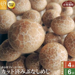 【ふるさと納税】 ぶなしめじ 選べる内容量 300g × 4袋 300g × 6袋 ［おぶせファーマーズ］ きのこ キノコ 野菜 鍋 炒め物 長野 信州