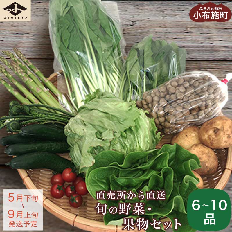 【ふるさと納税】直売所から直送 旬の野菜・果物セット 6～1