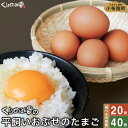 11位! 口コミ数「11件」評価「4.91」 平飼い おぶせのたまご 選べる内容量 20個 40個［くりのみ園］ 卵 玉子 生卵 鶏卵 長野県産 小布施町産 信州