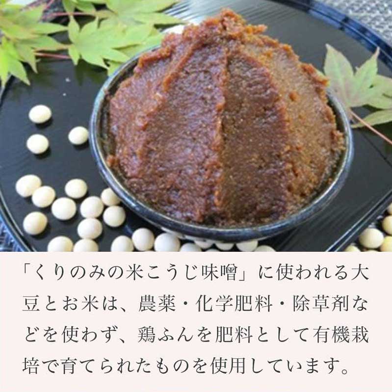 【ふるさと納税】 米こうじ味噌4個入れ 500g 計2kg［くりのみ園］ | 計2kg 保存料不使用 天然醸造 味噌 みそ 信州 長野県 小布施町 お取り寄せ 米麹