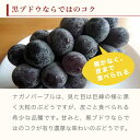 長野県小布施町の画像2
