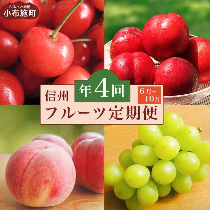 2位! 口コミ数「11件」評価「3.55」［4回定期便］ 小布施のフルーツ4回コース ［小布施屋］定期便 先行予約 フルーツ 数量限定 さくらんぼ 白桃 ネクタリン シャインマスカッ･･･ 