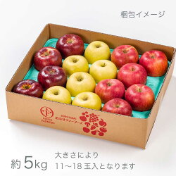 【ふるさと納税】 信州りんご3兄弟詰め合わせ 約5kg 11～18玉［おぶせファーマーズ］2023年10月下旬〜11月上旬発送 りんご 林檎 リンゴ 果物 フルーツ 詰合せ 味比べ 食べ比べ 長野県産 信州産 先行予約 数量限定 秋映 シナノスイート シナノゴールド･･･ 画像2