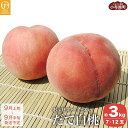 【ふるさと納税】長野県産 だて白桃 約3kg 7～12玉 ［
