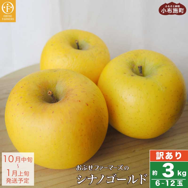 【ふるさと納税】【訳あり】 シナノゴールド 約3kg 6～1