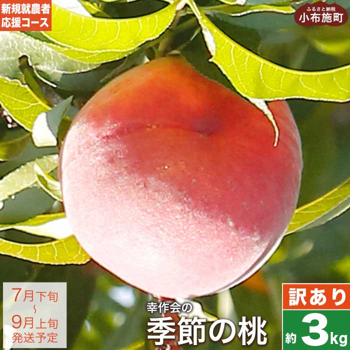 【ふるさと納税】【訳あり】季節の桃 約3kg ［新規就農者応