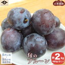 【ふるさと納税】長野県産 旬のプルーン 約2kg ［小布施屋］ 生プルーン 果物 フルーツ 長野県産 信州産 先行予約 数量限定 夏 2023年8月上旬～9月中旬発送