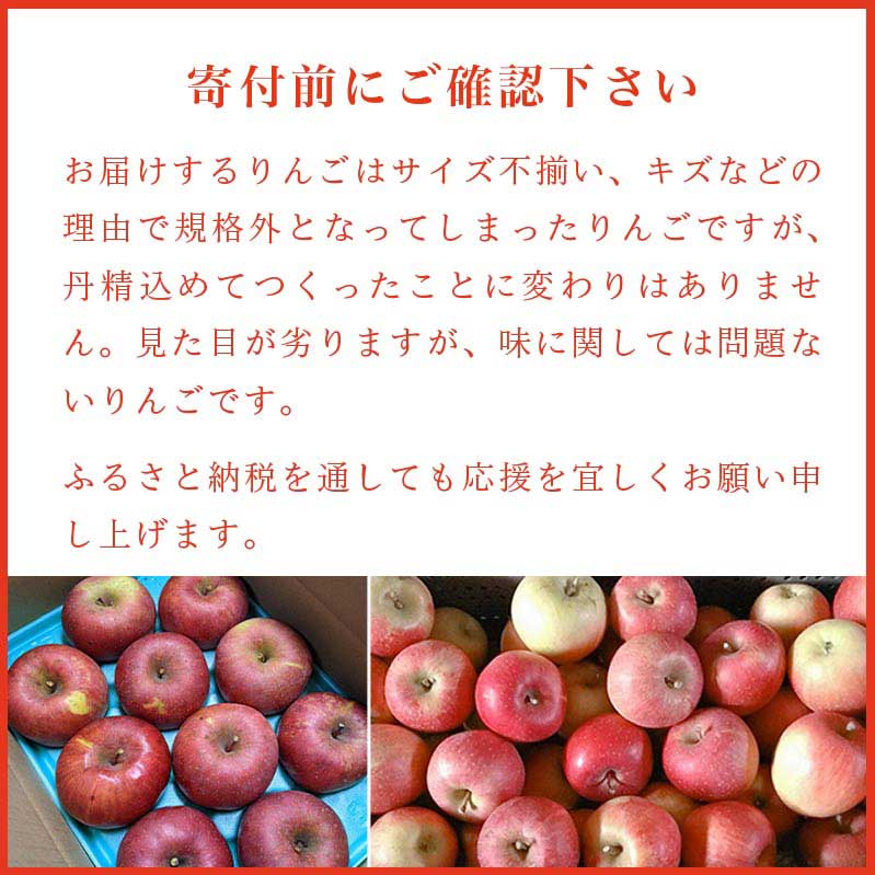 【ふるさと納税】【訳あり】 サンふじ 約3kg ［新規就農者応援コース 幸作会］ りんご 林檎 リンゴ 不揃い 規格外 果物 フルーツ 長野 信州 3kg 特産 産地直送 産直 数量限定 先行予約 生産者応援 支援 家庭用 令和6年産 【2024年11月下旬～12月下旬発送】