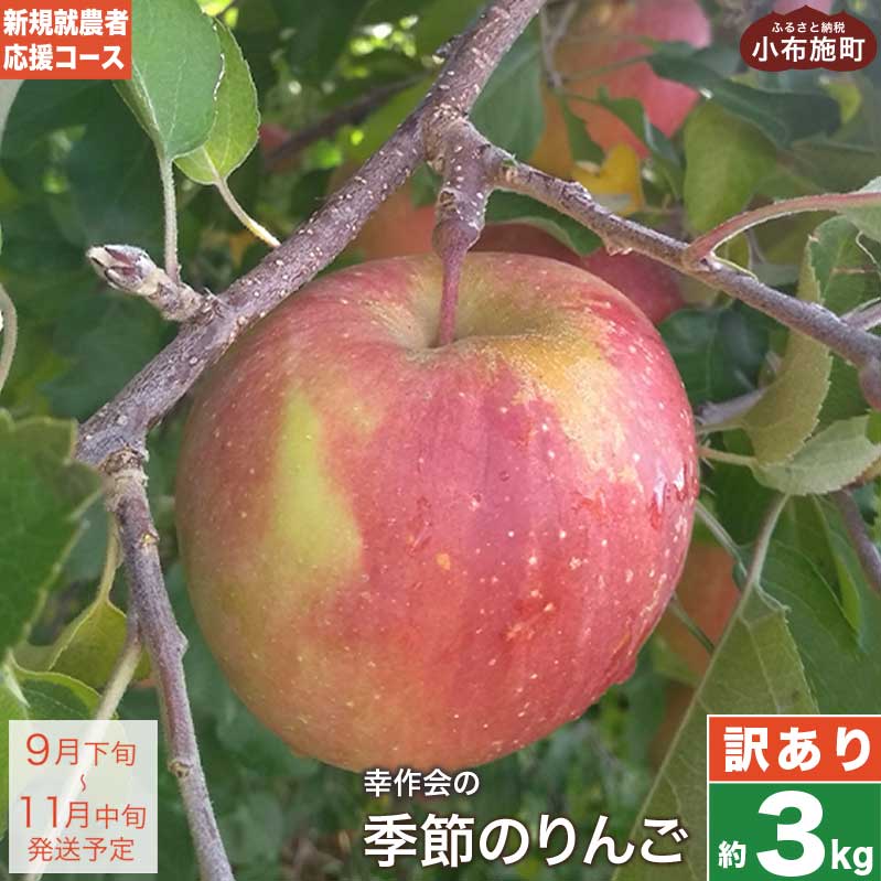 【ふるさと納税】【訳あり】 季節のりんご 約3kg ［新規就