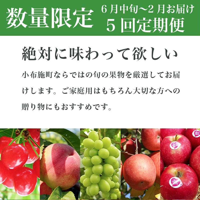 【ふるさと納税】［年5回定期便］ 小布施町の人気フルーツ定期便5回コース ［小布施屋］ フルーツ 果物 さくらんぼ もも 白桃 シャインマスカット 林檎 りんご リンゴ お楽しみ 数量限定 長野県 信州 令和6年産 【2024年6月中旬～2025年2月発送】