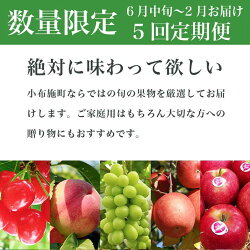 【ふるさと納税】5回定期便 小布施町の人気フルーツ定期便5回コース 画像1