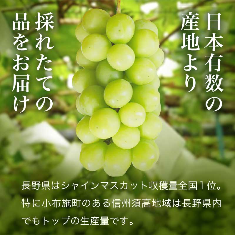 アイテムID:667892の画像3枚目