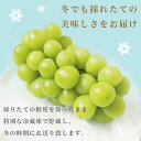 長野県小布施町の画像2