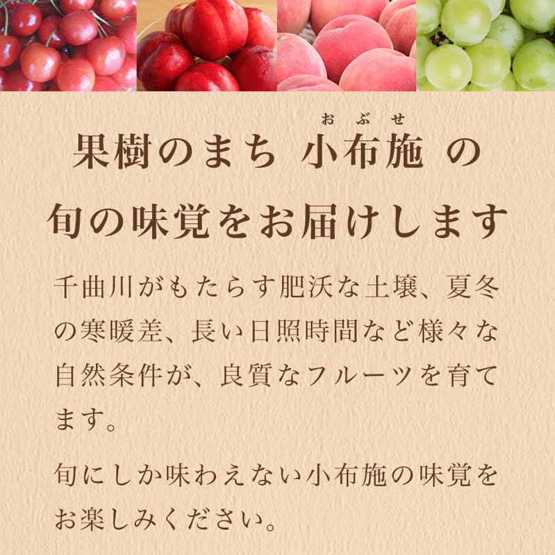 【ふるさと納税】［4回定期便］ 小布施のフルーツ4回コース ［小布施屋］定期便 先行予約 フルーツ 数量限定 さくらんぼ 白桃 ネクタリン シャインマスカット ぶどう クール便 冷蔵 お楽しみ 長野県産 信州産 令和6年産【2024年6月中旬～10月発送】