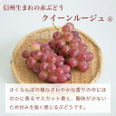 長野県小布施町の画像3