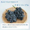 長野県小布施町の画像2