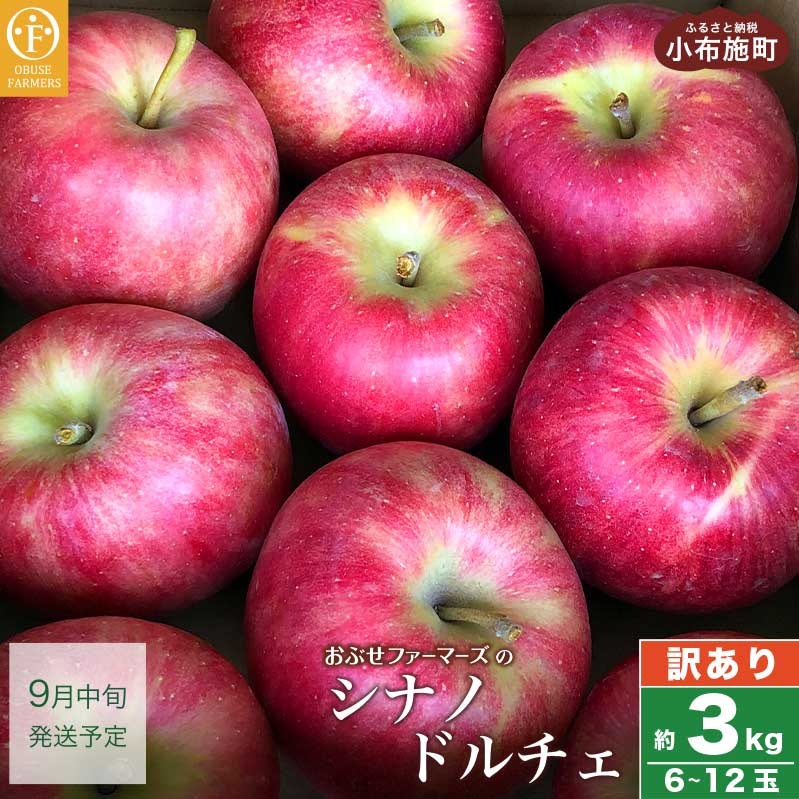 【ふるさと納税】【訳あり】シナノドルチェ 約3kg 6〜12玉［ おぶせファーマーズ ］数量限定 期間限定...